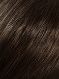 Color Coffee-Mix = Medium to Dark Brown base with Honey Blonde highlights on the top only, darker nape